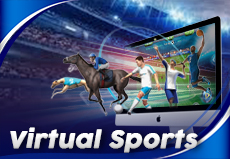 VIRTUAL SPORTS